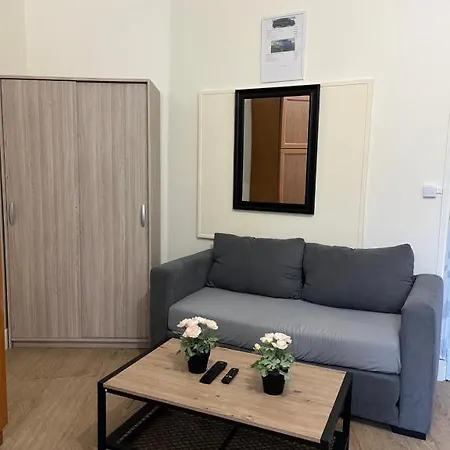 Apartment Spacieux Gambetta *